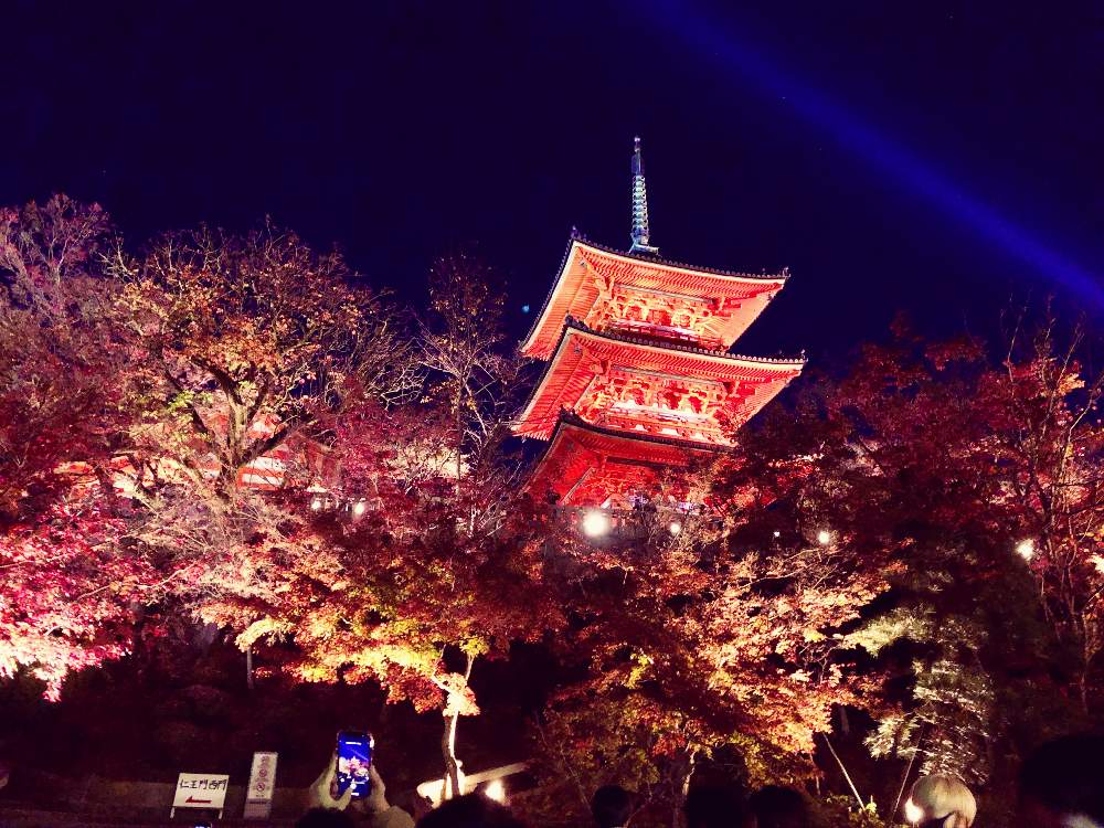 お出かけ先の画像 by lavenderの香りさん | お出かけ先と清水寺とそうだ京都、行こう