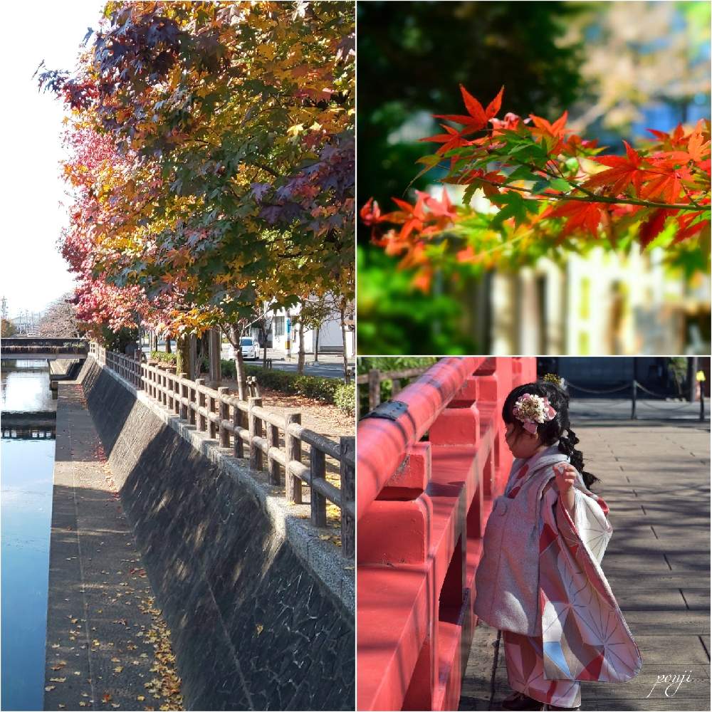 お出かけ先の画像 by PONJIさん | お出かけ先と飛騨市の皆さんにエールを♪とMyアルバムと㊗️じゅんさん2100picとお気に入りと新型コロナウィルスに負けるなとチーム岐阜と岐阜・大垣とコロナに負けるな!と九州の皆さんにエールを♪と被災地にエールを…。とGSアダルトチーム