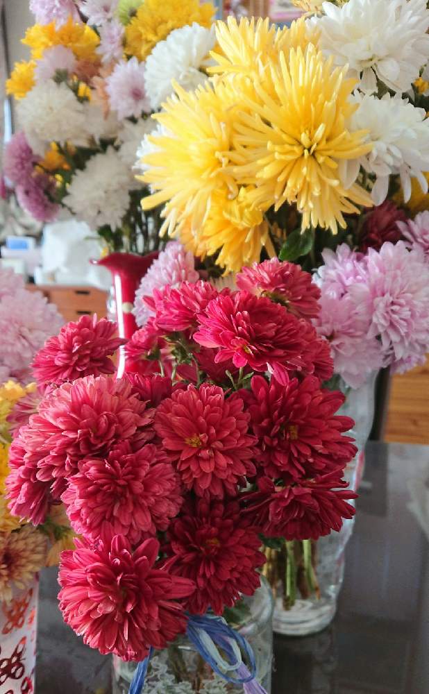 部屋の画像 by のりりんの森さん | 部屋とマム ロリホップシリーズとアンティークな花色とキュンキュン乙女倶楽部と可愛いなぁ❤️とずーっと咲いてると晩秋のお花達と大好きなお花と心ときめく☆と花のある暮らし
