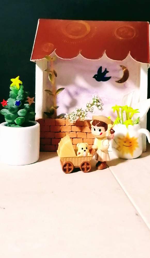部屋の画像 by はく社長さん | 部屋と多肉とコンロンカ(ハンカチの花)と火祭の花穂と火祭りの花♡と多肉植物と開花とたにくとペコちゃん祭りとおうち園芸とXmasと星型のお花とクリスマス