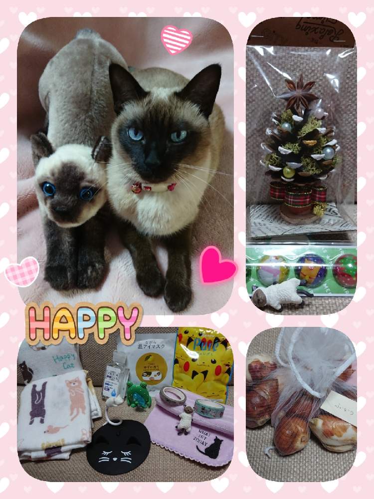 部屋の画像 by syamunekoさん | 部屋とチューリップの球根とクリスマスツリー♡と素敵便とクリスマス月間とキモカワ倶楽部と素敵便♪とGSのつながりに感謝とおうち園芸と雑貨好き♡と猫大好き‼