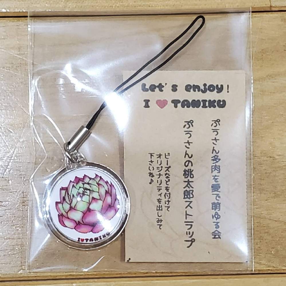 バルコニー/ベランダの画像 by ゆのりかさん | バルコニー/ベランダと多肉大好きと飯塚農園✨と多肉女子と多肉中毒❣️と癒し…♡と多肉初心者