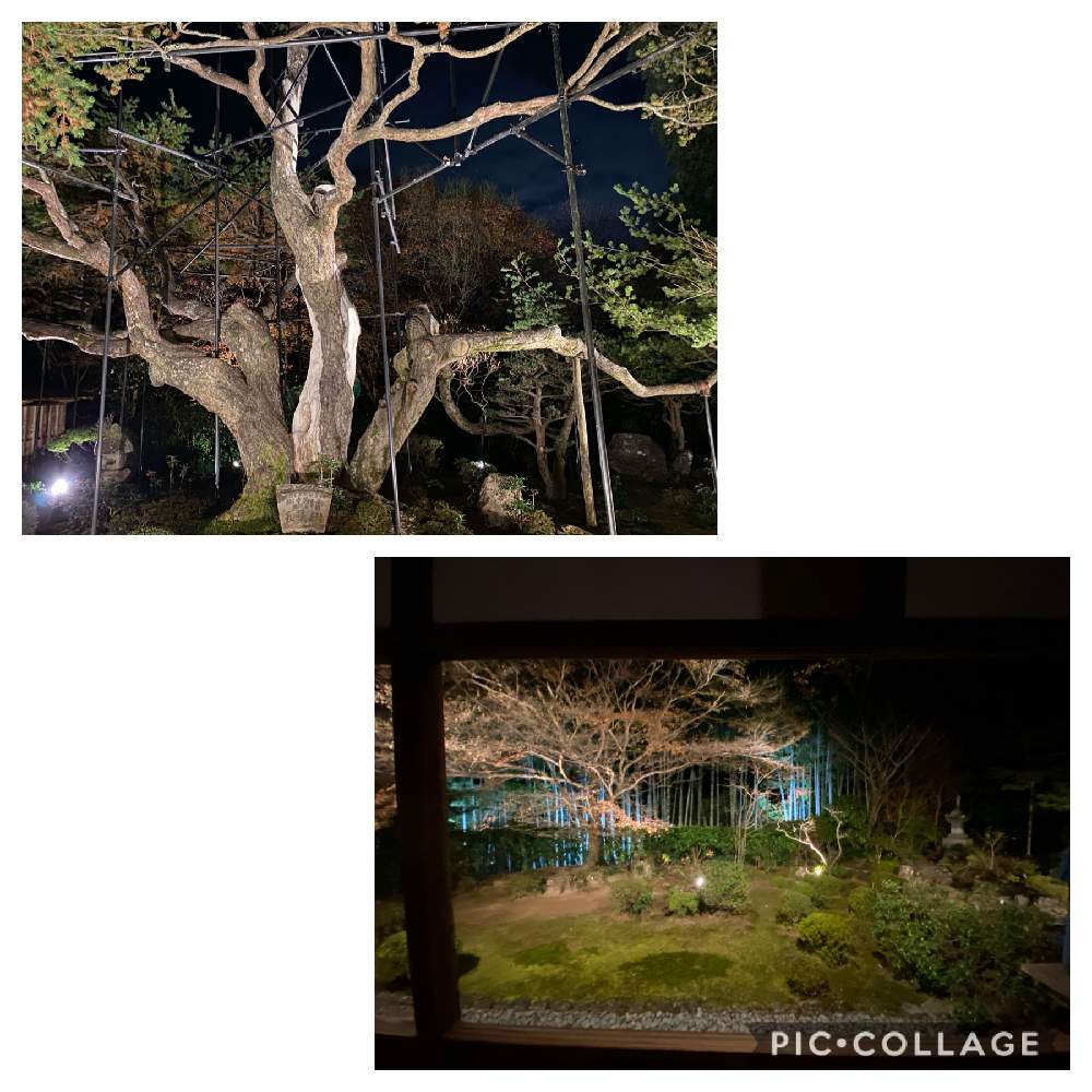 お出かけ先の画像 by pagu mamaさん | お出かけ先
