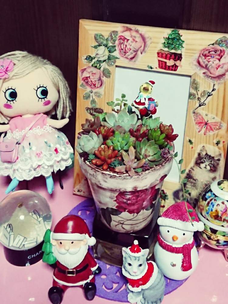 部屋の画像 by ミールンさん | 部屋とスノードーム❤️とピーチネックレス♡とおうち園芸と多肉ネット購入と多肉ちゃん3年目❤️と꒰ღ˘◡˘ற꒱かわゅ~とピンクパンサーさんのリメ鉢とイリメール❤️