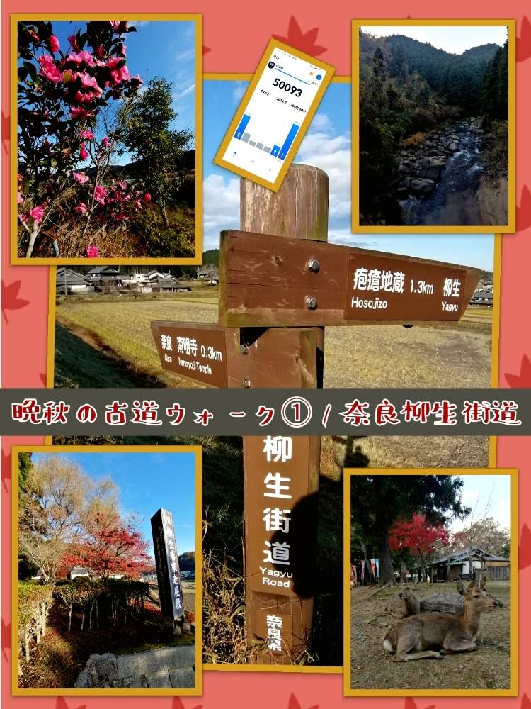 お出かけ先の画像 by ✨花鳥風月堂✨さん | お出かけ先と柳生の里と柳生街道と奈良県と紅葉(こうよう)と剣豪と奥山と古道