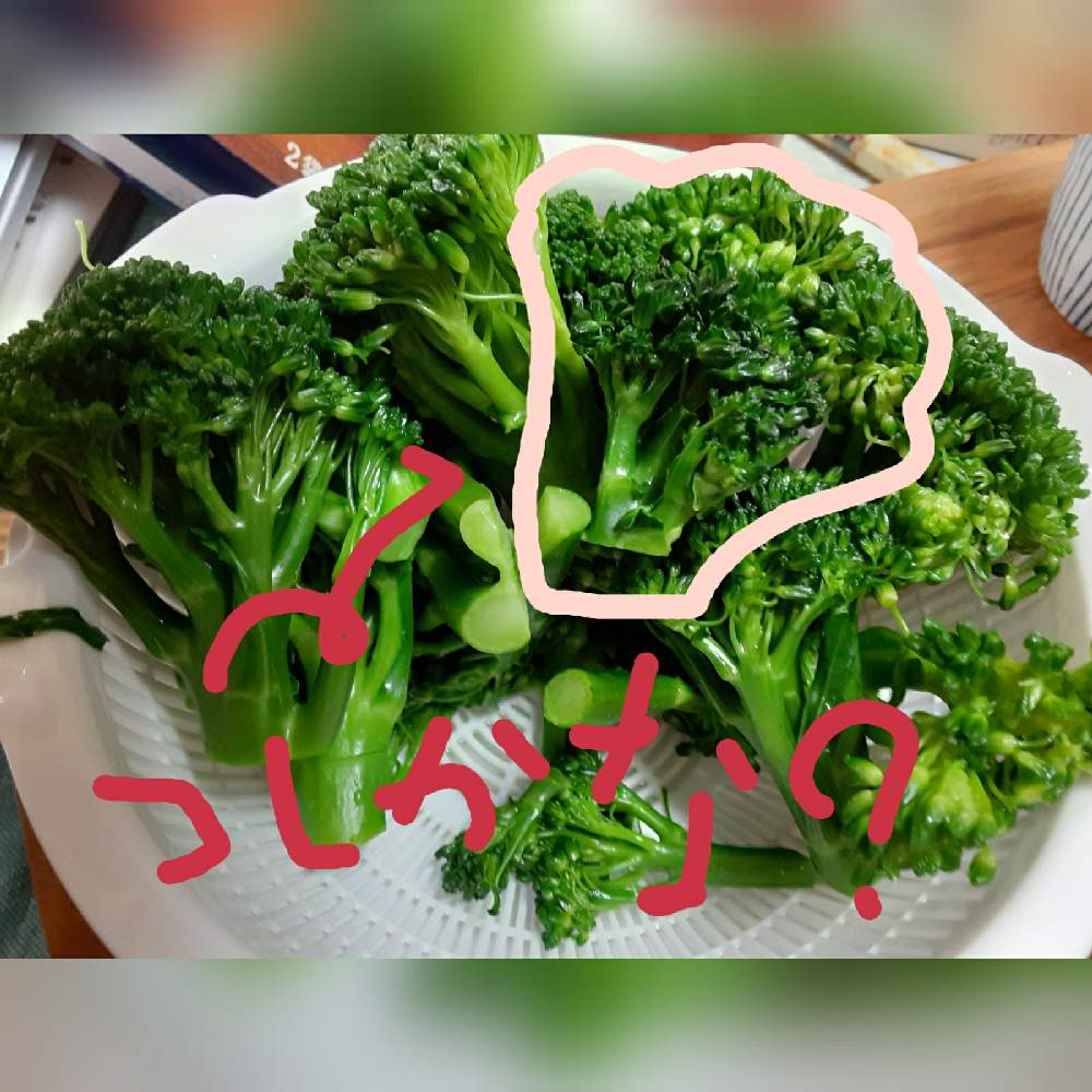 キッチンの画像 by 五月garden☆さん | キッチンとスティックセニョールと家庭菜園初心者と家庭菜園奮闘日記とブロッコリー!とおうちde菜園