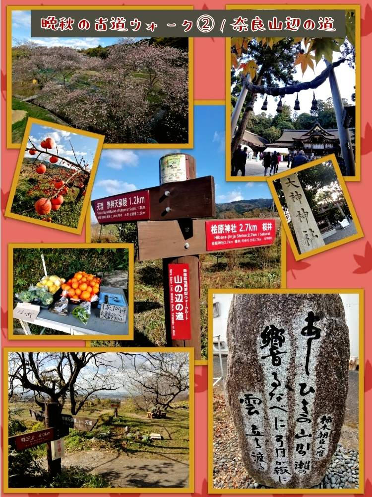 お出かけ先の画像 by ✨花鳥風月堂✨さん | お出かけ先と日本書紀とハイキングと奈良県とみかん♡と古事記とかき 柿と紅葉(こうよう)と万葉集と山辺の道と寒桜と古道
