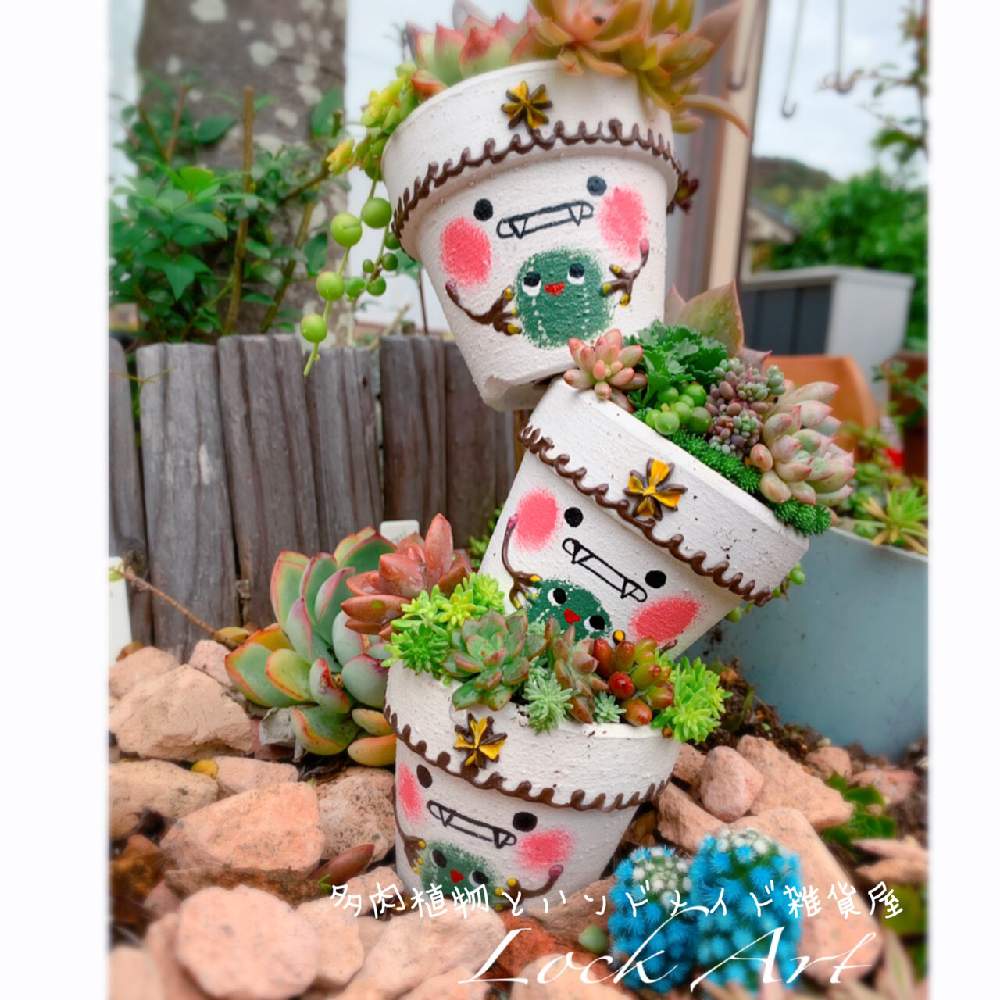 小さな庭の画像 by リリィさん | 小さな庭と虹の玉と ブロンズ姫と多肉植物と紅葉フォトコン2020と鬼っち鉢と寄せ植えと普及種と多肉ちゃんと紅葉する多肉と多肉植物寄せ植えと紅葉した多肉とエケベリア女子と多肉女子とトーテムポール寄せと多肉寄せ植え