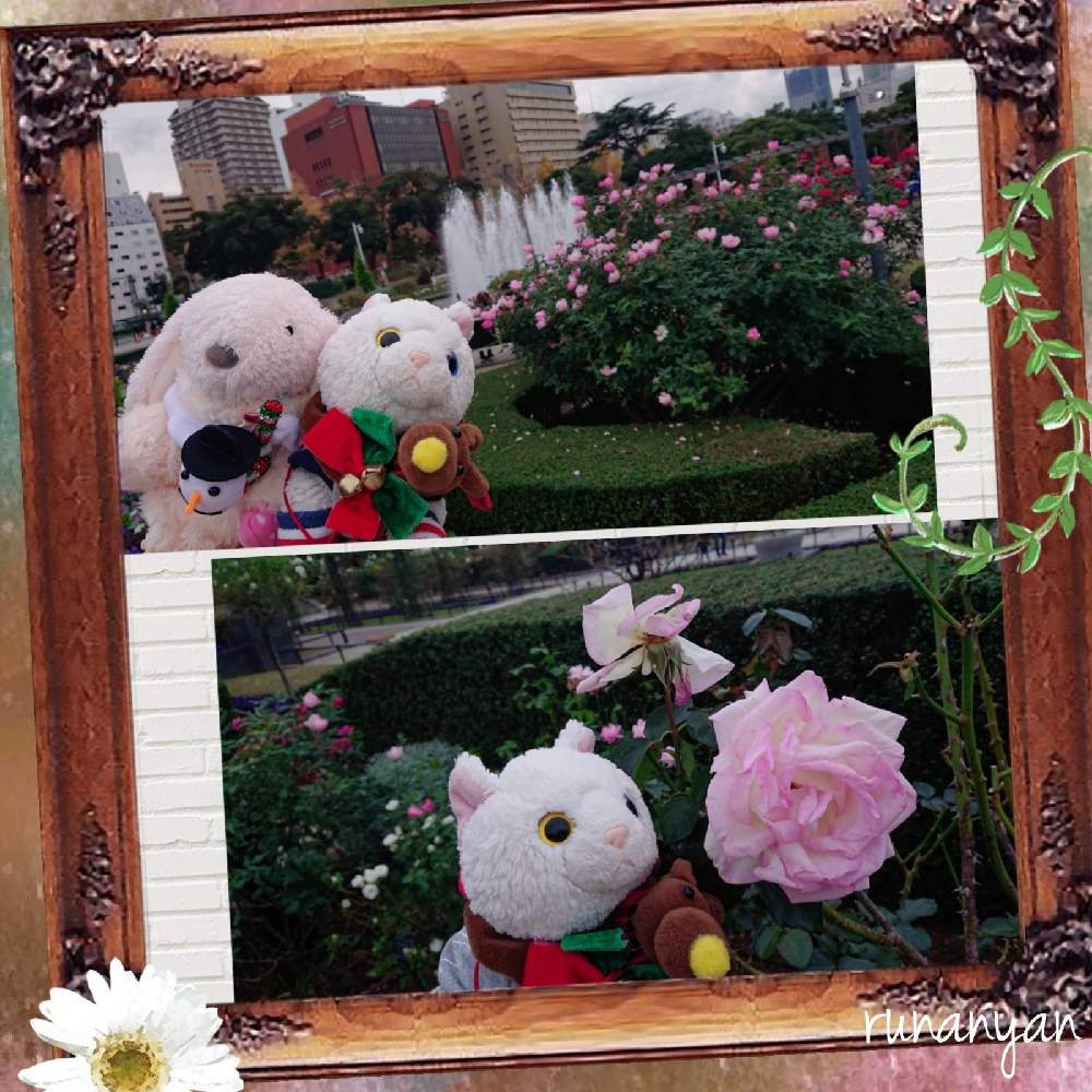 お出かけ先の画像 by るなにゃんさん | お出かけ先とばらとばら バラ 薔薇とぬいぐるみと山下公園とみるくとぬい撮りと横浜