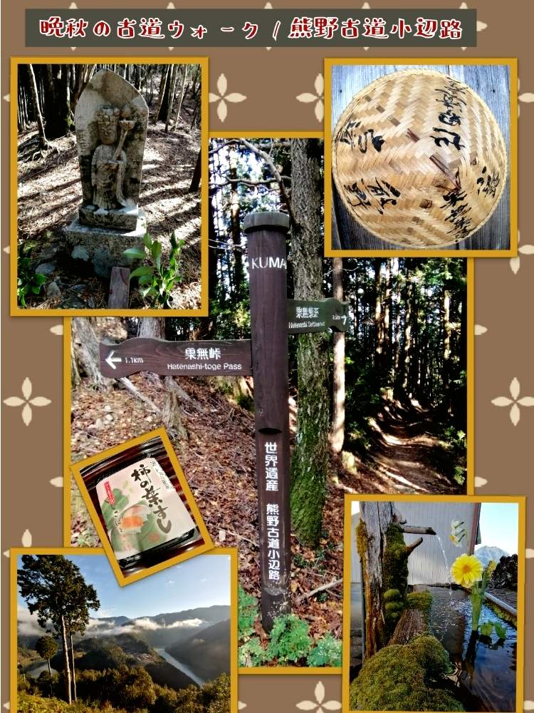 お出かけ先の画像 by ✨花鳥風月堂✨さん | お出かけ先と柿の葉ずしと十津川温泉と紀伊山地と石畳と雲海とハイキングと木漏れ日と苔むすと和歌山県と小辺路と熊野本宮大社とウォークと熊野古道と森林浴と古道