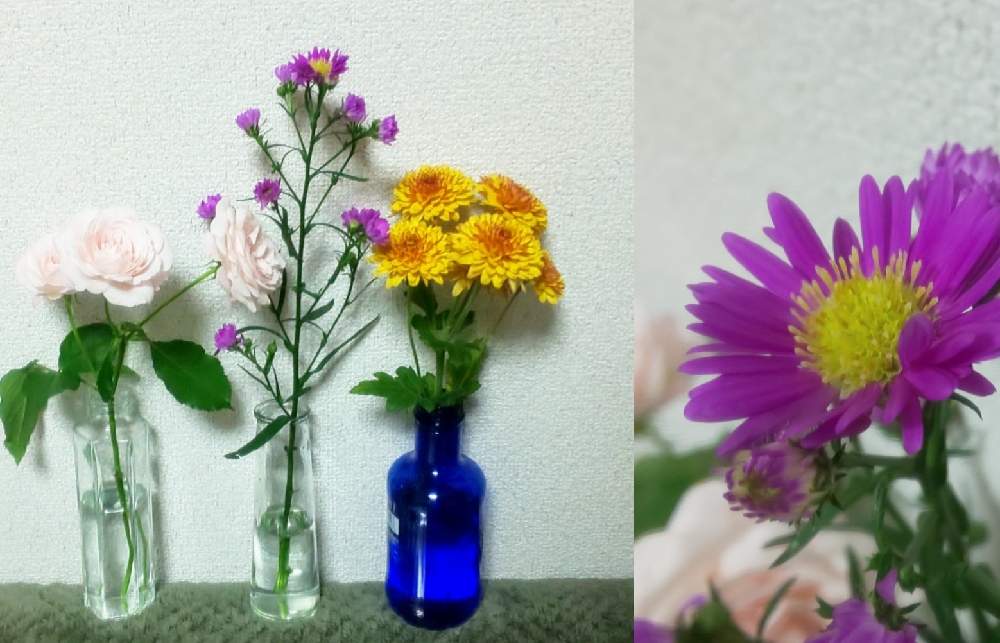 部屋の画像 by y312fさん | 部屋と宿根アスターと宿根アスター ローズスターとイイハナプランと花の日チームとハナノヒとフラワークと休日のヒトハナとコロナに負けるな!と一人一花運動@福岡市と日比谷花壇のサブスクと日比谷花壇