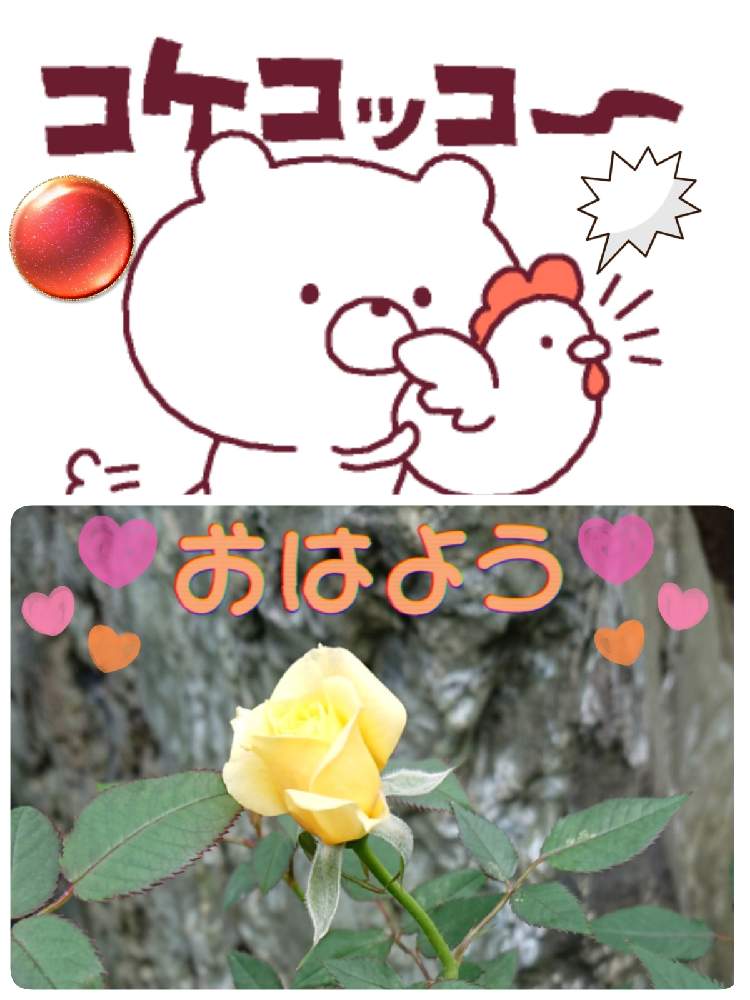 小さな庭の画像 by 苺さん | 小さな庭とプランターとプランター植えとおうち園芸とミニ薔薇の栽培