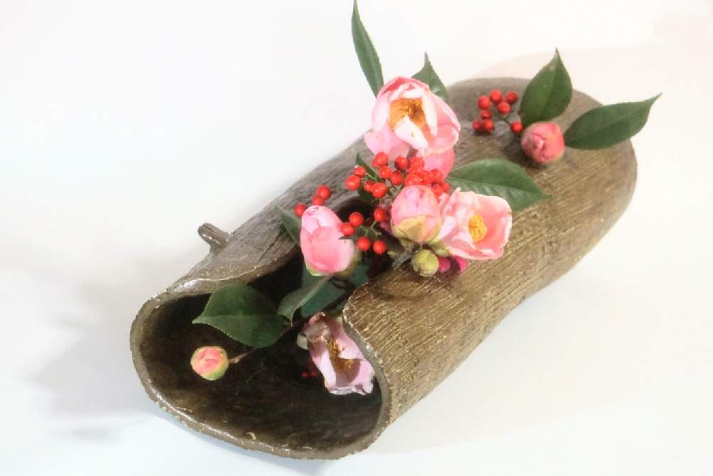 部屋の画像 by 野ニンさん | 部屋と令和最初の植物と出版とおうちde菜園とGS映えと花のある暮らしと#greensnapとGREEN UP!