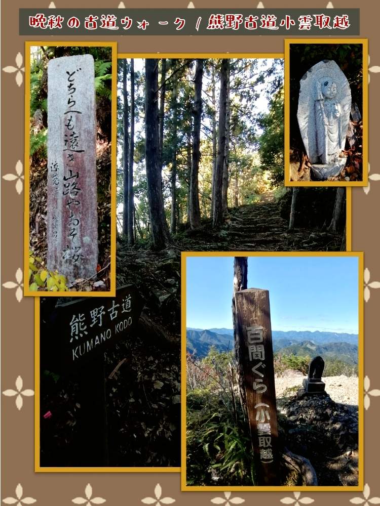 お出かけ先の画像 by ✨花鳥風月堂✨さん | お出かけ先と紀伊山地と石畳と雲海とハイキングと木漏れ日と苔むすと和歌山県と熊野本宮大社とウォークと中辺路と熊野古道と熊野那智大社と小雲取越と森林浴と古道