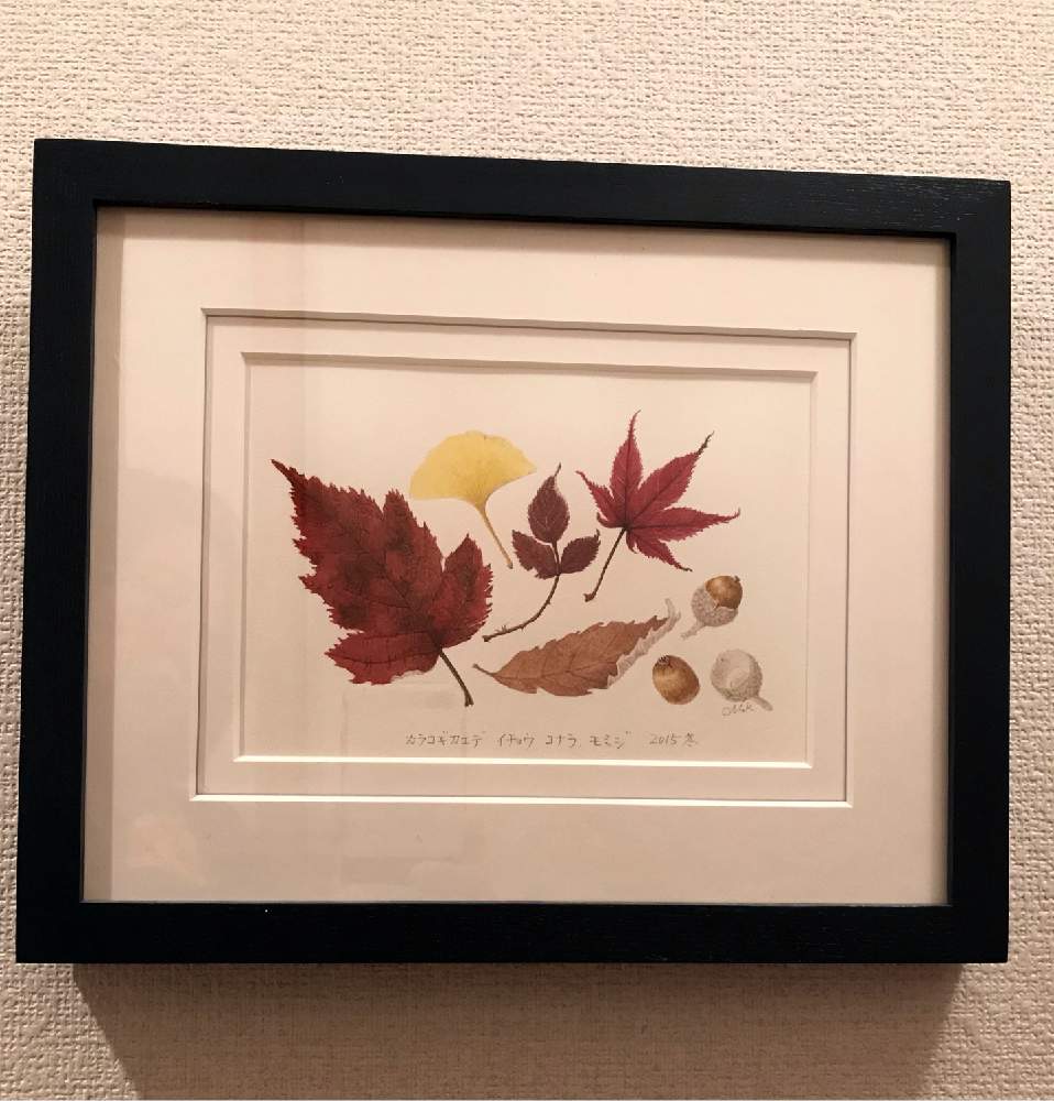 階段/廊下の画像 by ミッチーさん | 階段/廊下とワンコと暮らすとボタニカルアートとミッチの会とニャンコと暮らすと絵画の世界と感謝を込めてと花のある暮らしと手仕事