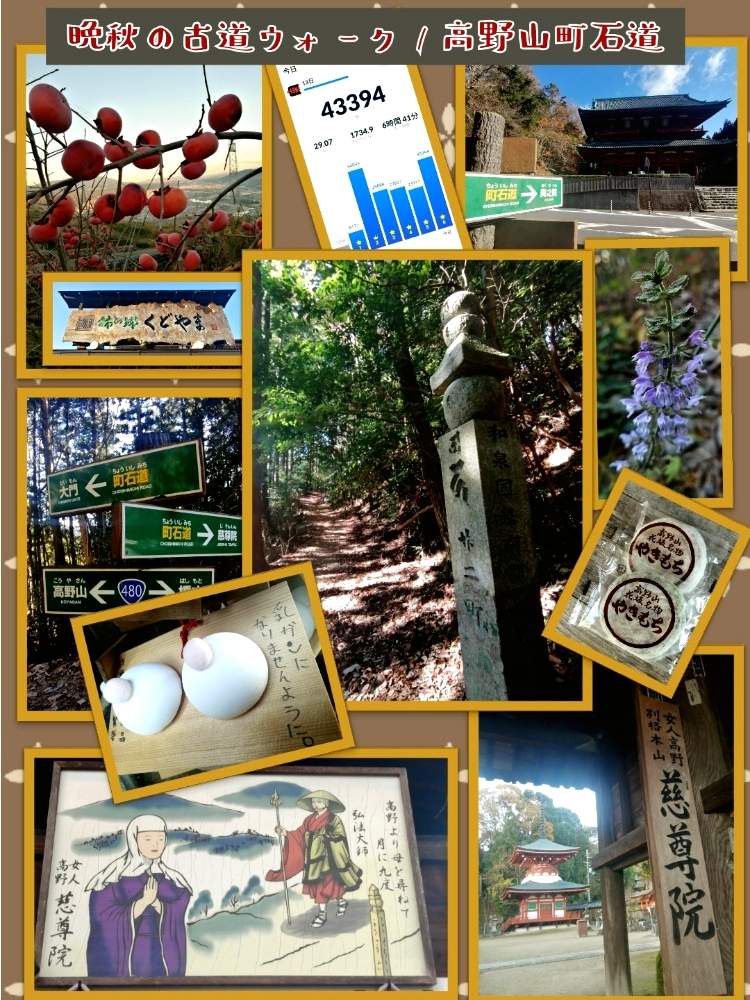 お出かけ先の画像 by ✨花鳥風月堂✨さん | お出かけ先と紀伊山地と高野山と雲海とハイキングと町石道と木漏れ日と苔むすと和歌山県と世界遺産とウォークと森林浴と慈尊院と古道