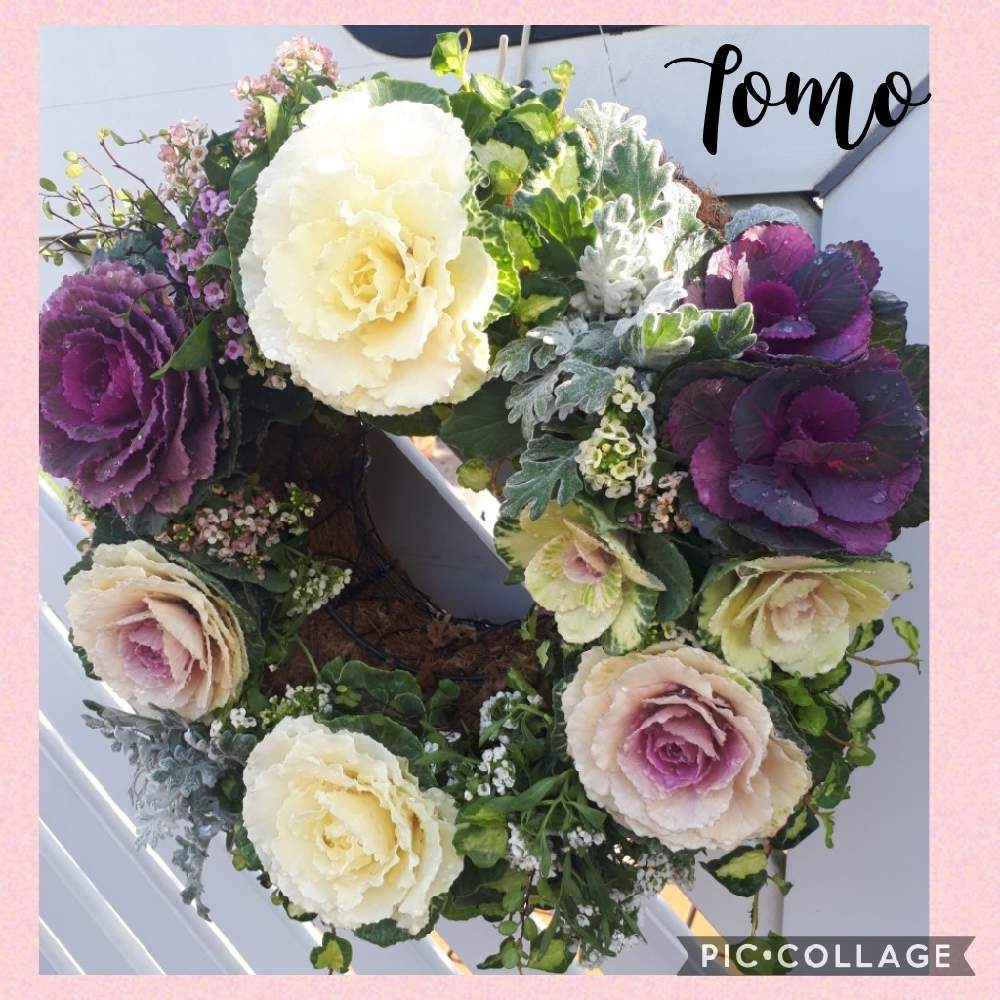 アプローチの画像 by Tomoさん | アプローチとロザリアン見習いとおうち園芸と植中毒と雑貨好き♡と憧れの薔薇とDIYと花のある暮らしとバラ薔薇ばらら~❤️とチーム福岡