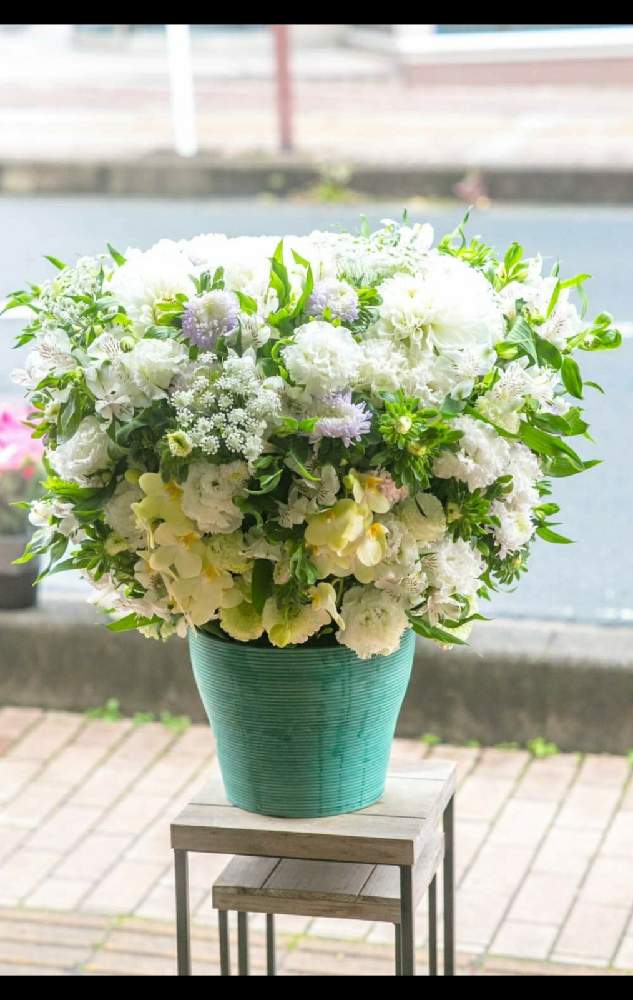 部屋の画像 by 【秦野市の花屋】フローリストせきどさん | 部屋とフローリストせきどと秦野市の花屋と癒しと癒し…とPLAZA花物語とGS映えと大好きと秦野市とGS日和とGSのみなさんに感謝♡と癒しの空間と今日のお花とビタミン Fとフラワーアレンジメントと癒し…♡と花のある暮らしといやされるとかわいいな♡とお花屋さんとフラワーギフト