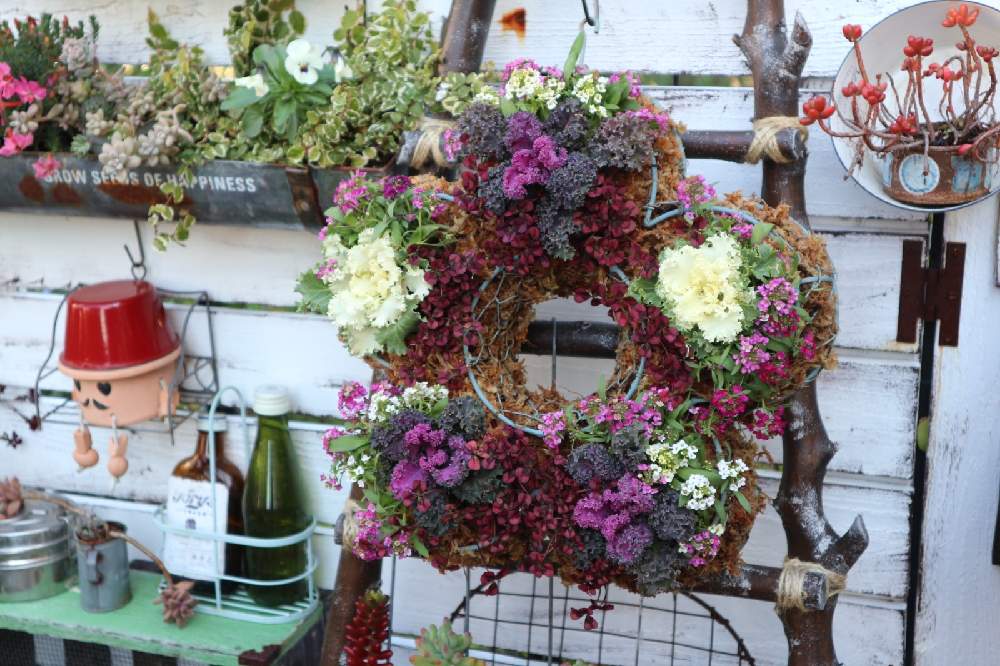 の画像 by nikoさん | my gardenとgardeningとガーデンガーデンと手作りの庭とマイガーデンとナチュラルガーデンとおうち園芸と今日の一枚と暮らしを楽しむとナチュラルと庭のある暮らしとガーデニングと花のある暮らしとお花とハンギングリースとかわいいな♡