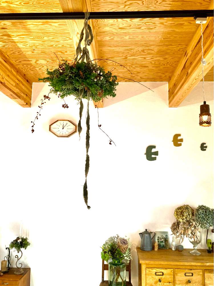 インテリアの画像 by kiisantaさん | インテリアとXmas wreathとネズ枝とXmas arrangementとXmas flying wreathとフライングリースとXmasアレンジと花のある暮らしとオージープランツと薩摩杉⭐︎とクリスマスリースとシルバーリーフ