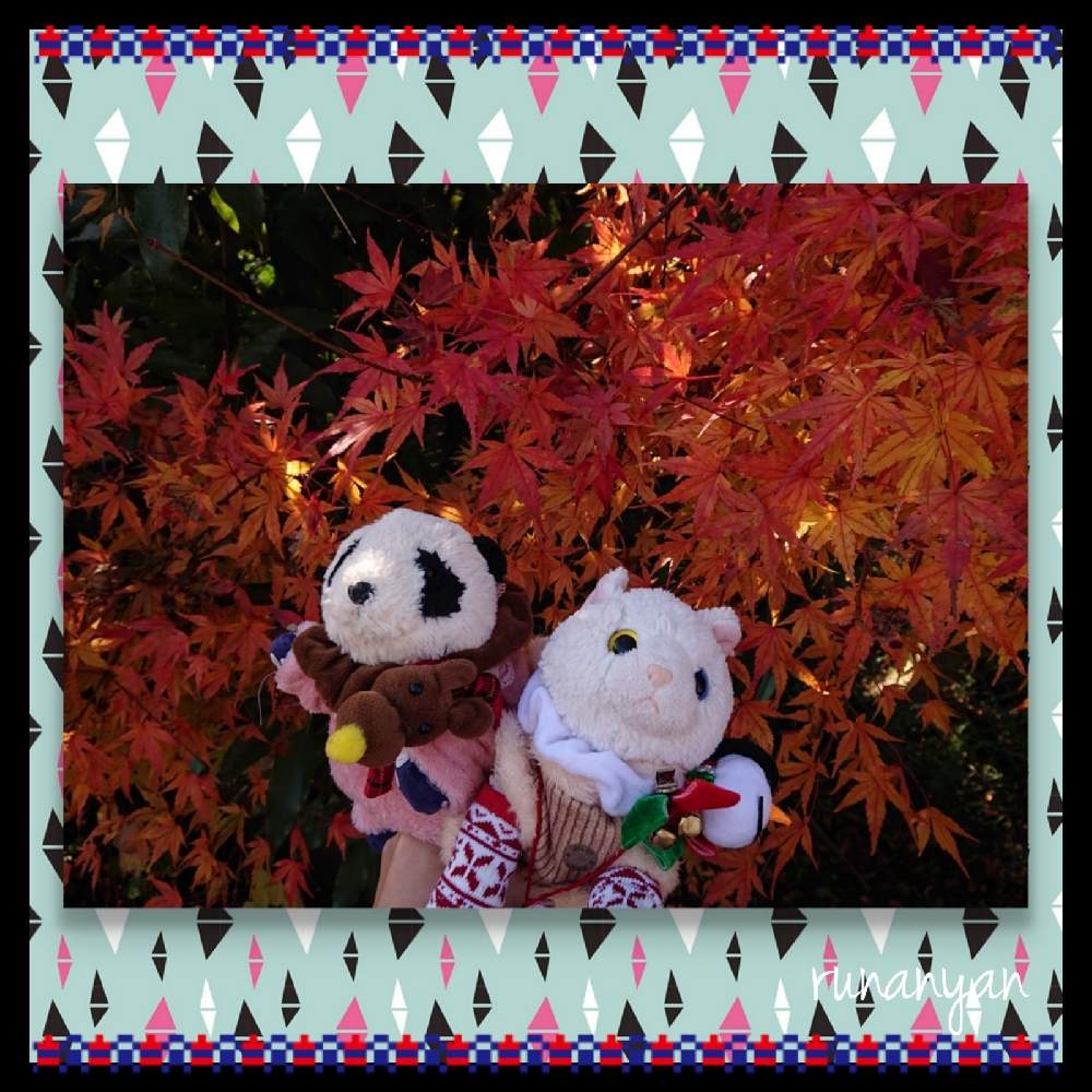お出かけ先の画像 by るなにゃんさん | お出かけ先ともみじと道の駅とぬいぐるみと紅葉(こうよう)とみるくともみじ紅葉とぬい撮り