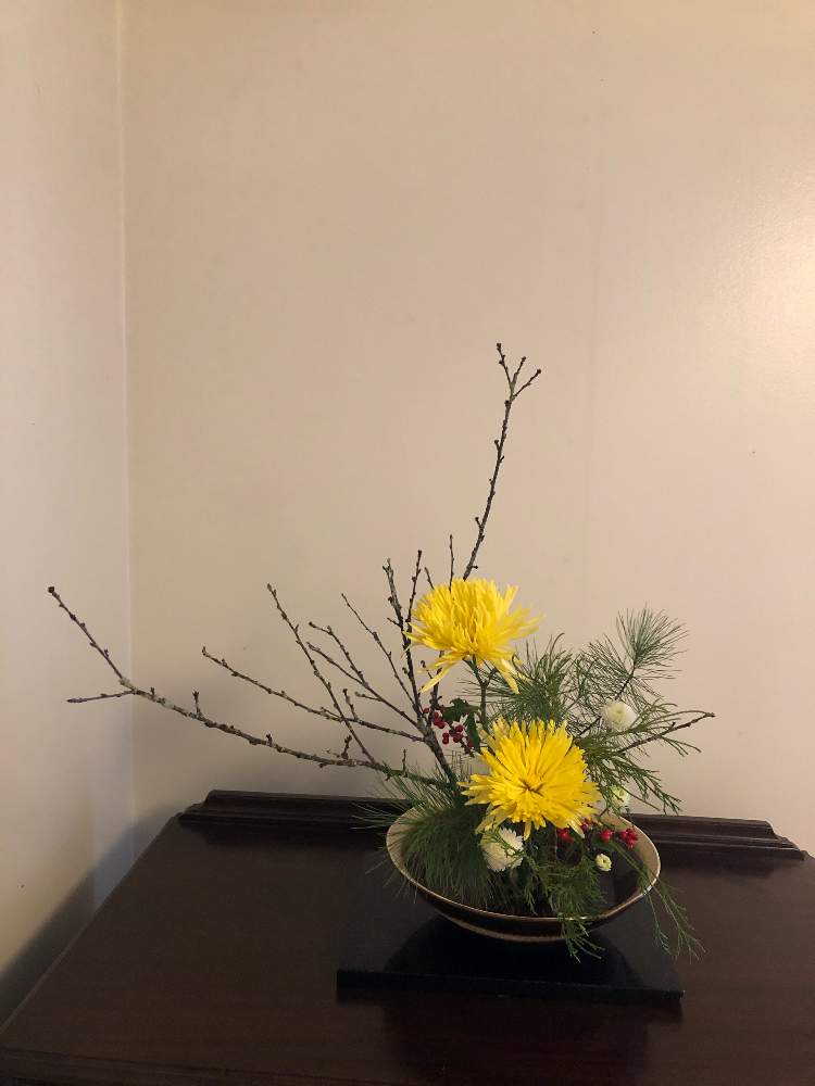 部屋の画像 by sasukemamaさん | 部屋とフレッシュフラワーアレンジメントとホーリーツリーと針葉樹と緑のある暮らしと小菊♡と花のある暮らしとアレンジメントと大輪菊と生け花と南京桜