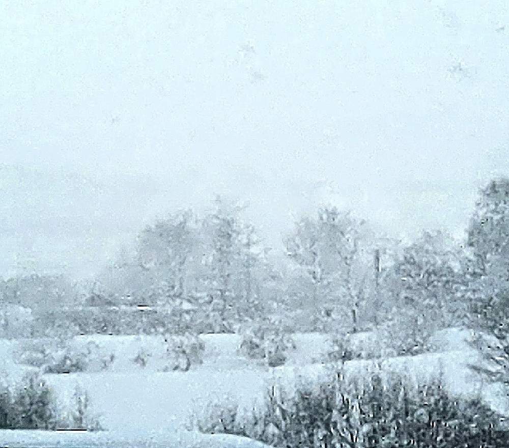 の画像 by 花音さん | モノクロの世界と雪景色と通勤途中とコロナに負けないとぼちぼちと…と北海道と冬景色と繋がりに感謝✨