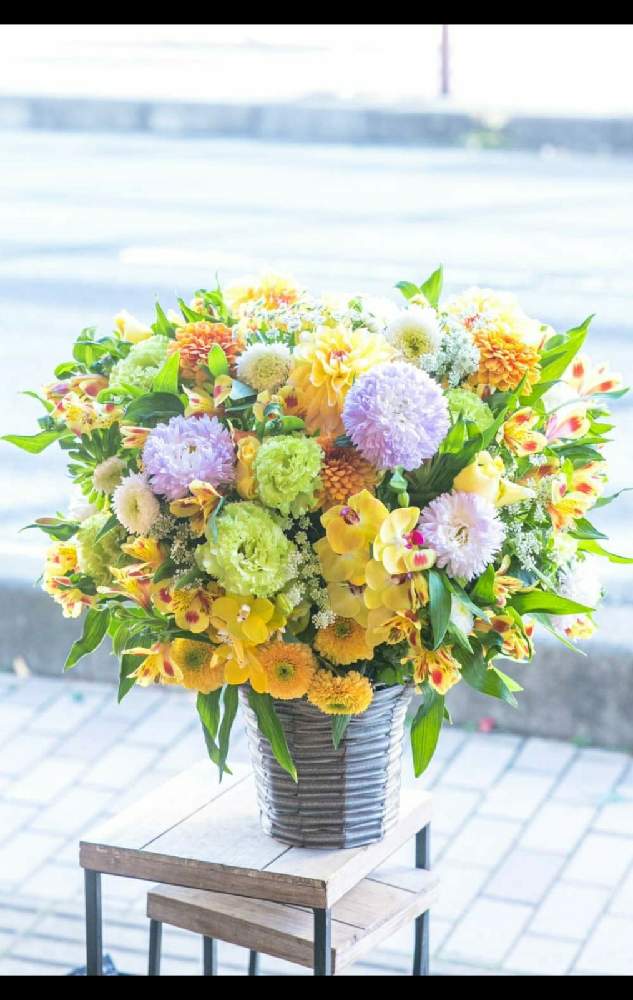 部屋の画像 by 【秦野市の花屋】フローリストせきどさん | 部屋とフローリストせきどと秦野市の花屋と癒しと癒し…とPLAZA花物語とGS映えと大好きと秦野市とGS日和とGSのみなさんに感謝♡と癒しの空間と今日のお花とビタミン Fとフラワーアレンジメントと癒し…♡と花のある暮らしといやされるとかわいいな♡と1,000万枚突破とお花屋さんとフラワーギフト