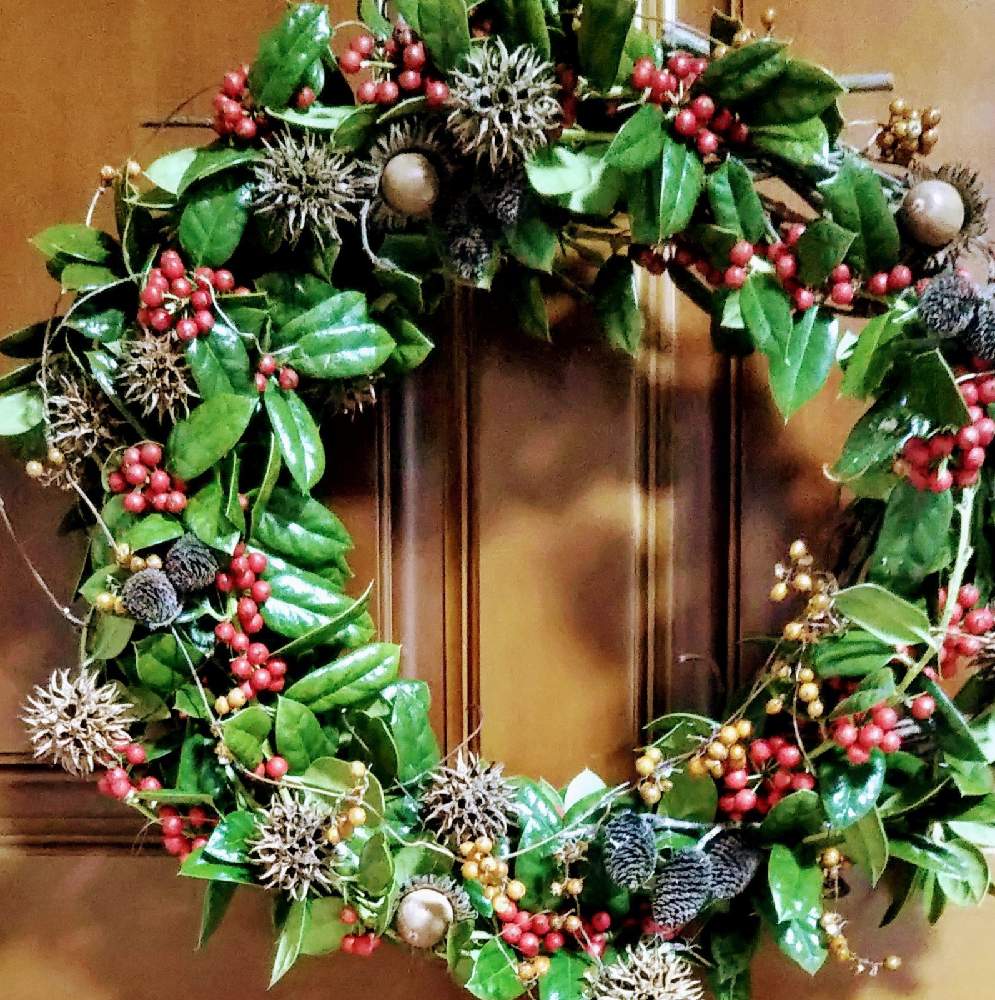 部屋の画像 by 一花さん | 部屋とシナヒイラギ♪とくぬぎの実とフレッシュクリスマスリースと手作りクリスマスリース❤とカエデバフウとヤシャブシの実とヘクソカズラの実