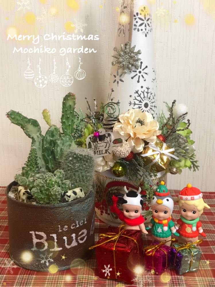 部屋の画像 by さくら餅子さん | 部屋と姫サンゴとクリスマス月間とソニーエンジェルとサボテンの寄せ植えと24日は牛の日と牛の日と錦の日とみんとぐりーんさんのリメ缶♥