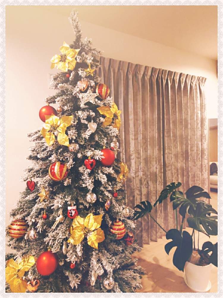 部屋の画像 by miri☆*.+゚さん | 部屋とDAISOモンステラといつもありがとう♡とクリスマスツリーとGS初心者!