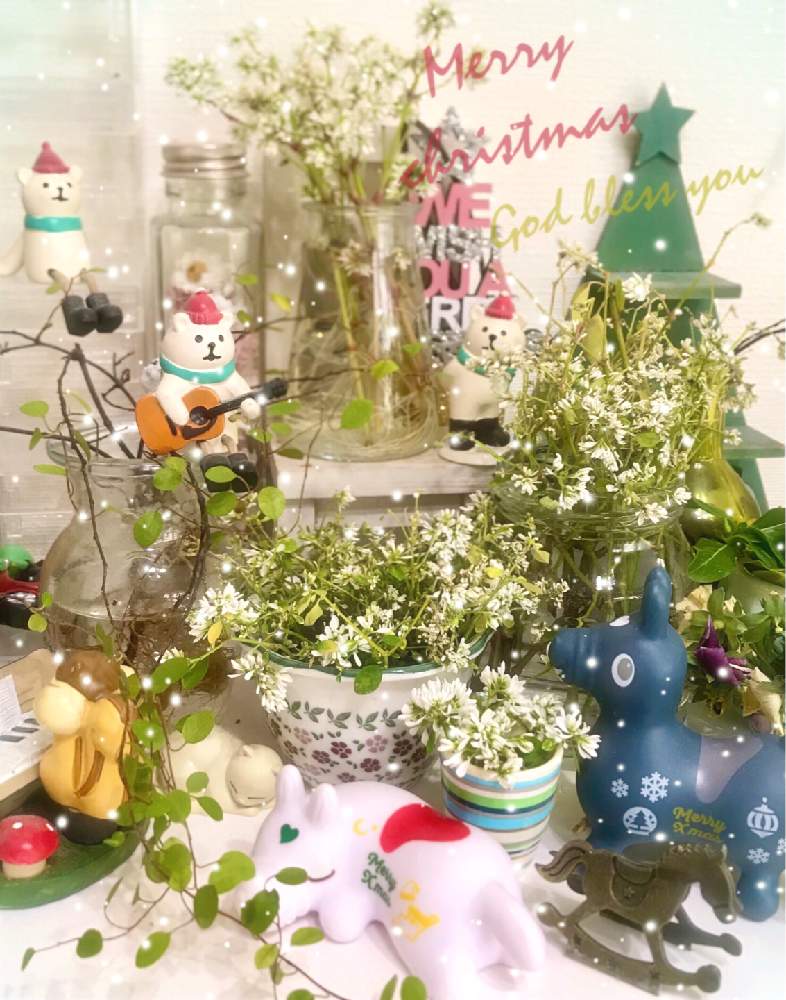 の画像 by プリエレさん | ユーフォルビア・ダイヤモンドフロストと水栽培とロディちゃんとメリークリスマス ☆と花のある暮らしとGSアダルトチームとコロナ消えろ‼ビーム‼