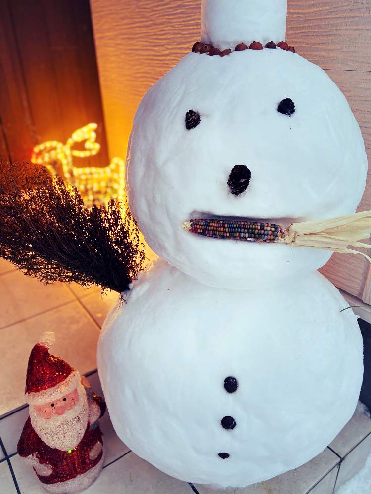 の画像 by n__nさん | コキア♡とメリークリスマスイブとグラスジェムコーン♡とどんぐり。と松ぼっくり☆と北海道とサンタクロースとクリスマスと雪だるま