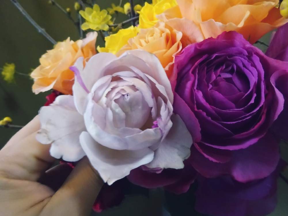 玄関の画像 by ☆きらまる☆さん | 玄関とピンク同盟と極上咲きと薔薇愛同盟と薔薇男子と薔薇に魅せられてと薔薇と暮らすとオシャレとB型と365日薔薇と暮らすとバラのある暮らしと今日の一枚ときれいな色とたまらん!と花のある暮らしとロザリアンとシボラー