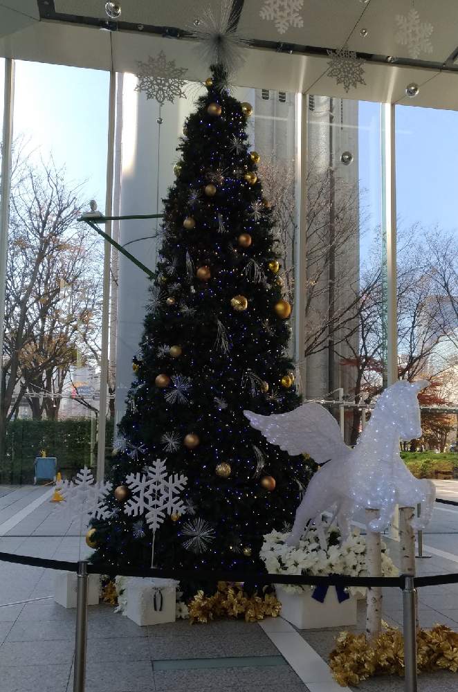 お出かけ先の画像 by rubyさん | お出かけ先とモミの木と街のクリスマスツリーと東京駅八重洲口とペガサスとクリスマスツリー