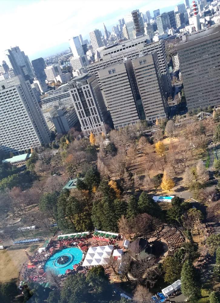 お出かけ先の画像 by rubyさん | お出かけ先と紅葉と日比谷公園と噴水広場のイベント