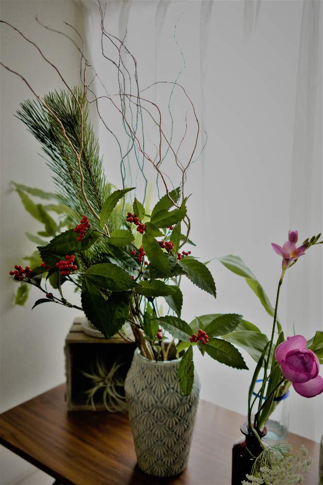 部屋の画像 by hiLa-ya hilaryさん | 部屋とセンリョウとマツと切り花と枝ものと花のある暮らしといばらきの花の定期便