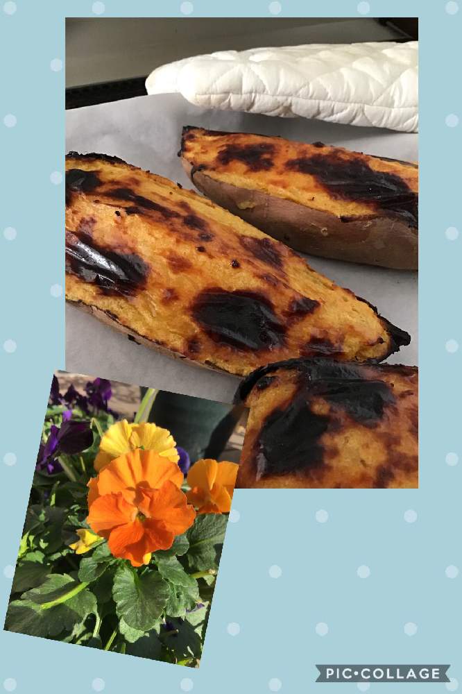 キッチンの画像 by Hi〜さん | キッチンと焼き立てスイートポテトとキュンキュン乙女倶楽部とおやつとビオラ・パンジーと寒い日
