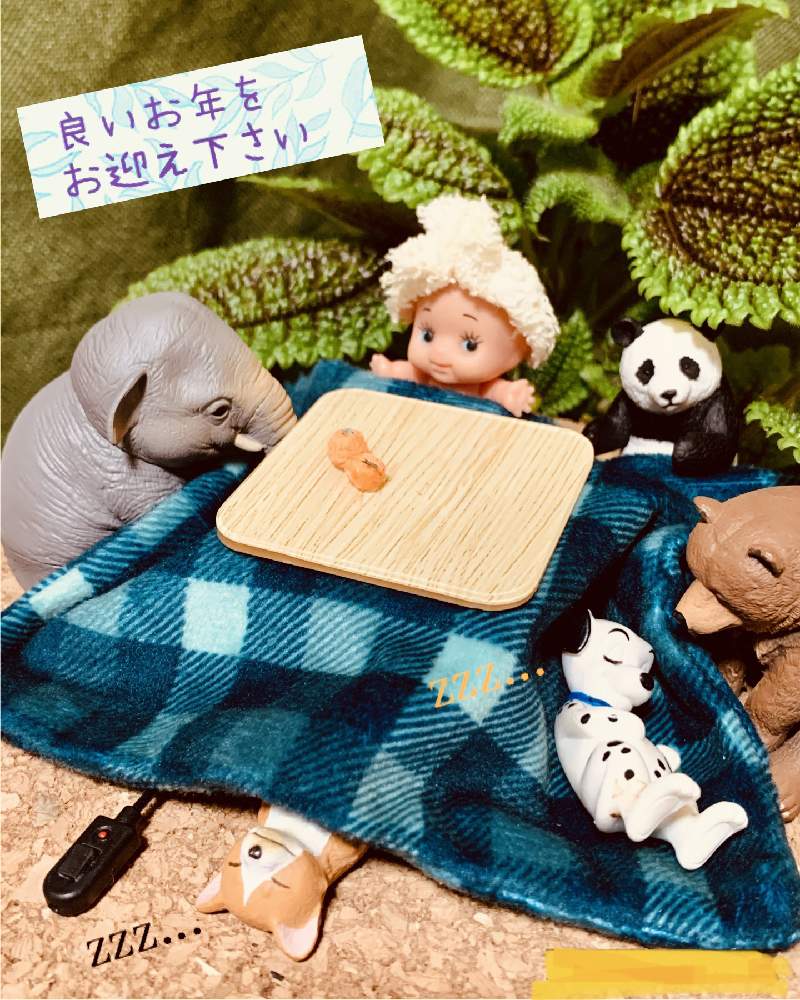 部屋の画像 by ロビチビさん | 部屋とピレアと落ち着くね。とヒヤミカチ首里城!と感謝とコロナに負けるな!とBBAに負けるな!とコロナおしりペンペン( ・᷄ὢ・᷅ )