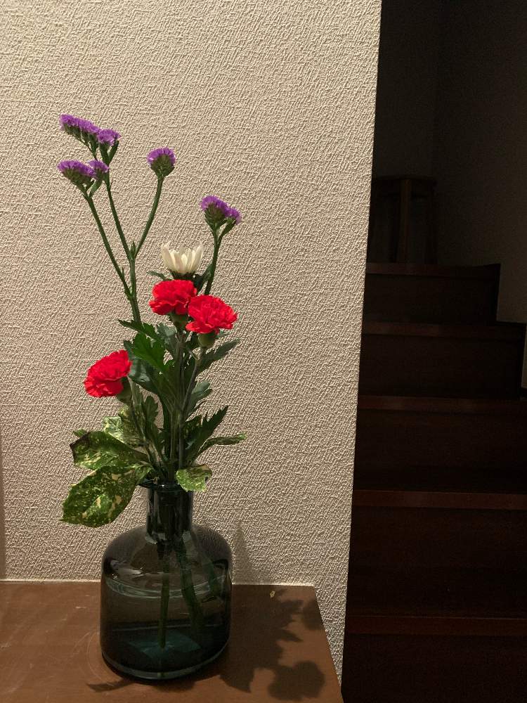 玄関の画像 by ママ子3rdさん | 玄関とカーネーションとスターチスときく 菊と花のある暮らしとゆく年くる年