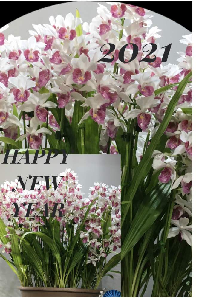 部屋の画像 by moguさん | 部屋と2021年初投稿と元気をありがとうと大好きなお花♡とバラと夢CLUBと医療従事者に感謝とGreenのある暮らし♪