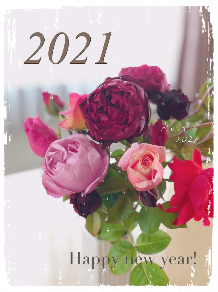部屋の画像 by rosa sさん | 部屋とバラと蔵出しpicとお正月フォトコン2021年と花を飾ると花のある暮らしと北海道