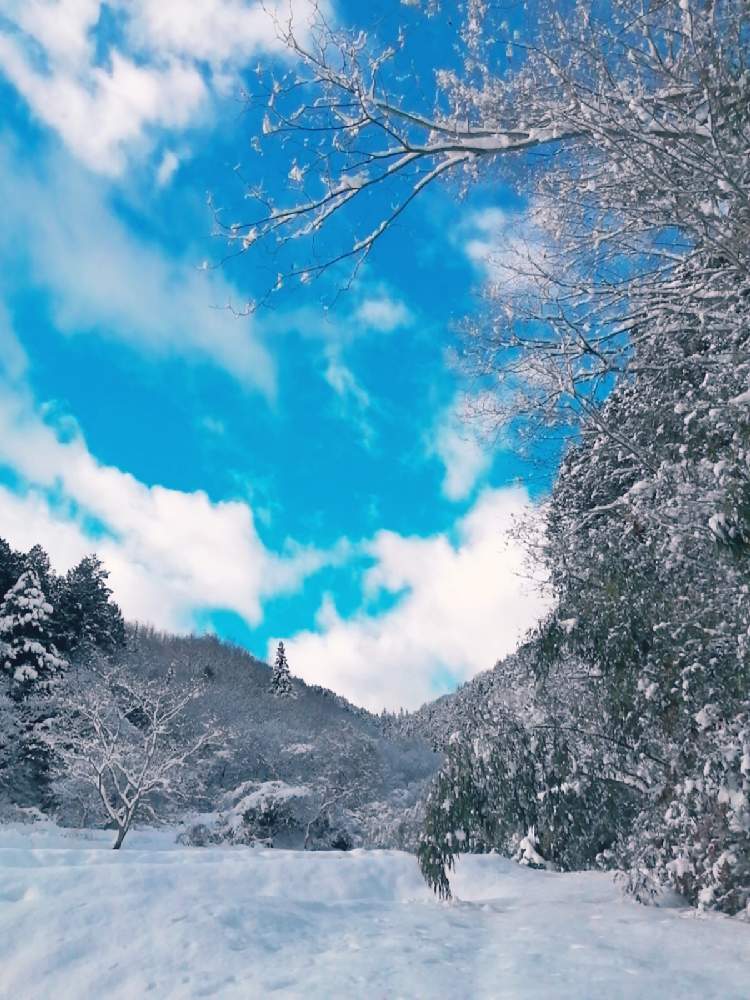 広い庭の画像 by TAKA丸さん | 広い庭と山の中とお正月フォトコン2021年と自然大好きとそらとやまと謹賀新年と ゆき