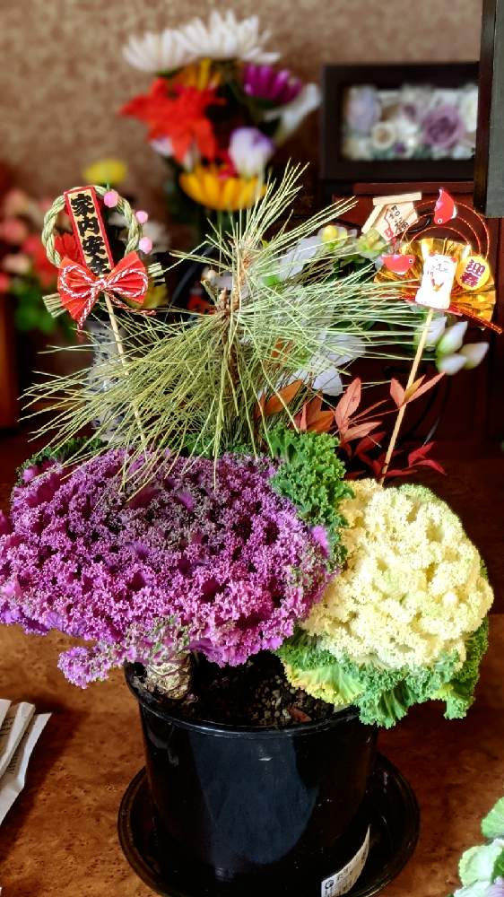 インテリアの画像 by Attiさん | インテリアと葉牡丹寄せ植えと2021年・元旦と正月花とお正月寄せ植えと♯葉牡丹とお正月フォトコン2021年と葉牡丹の寄せ植えと今日は元日