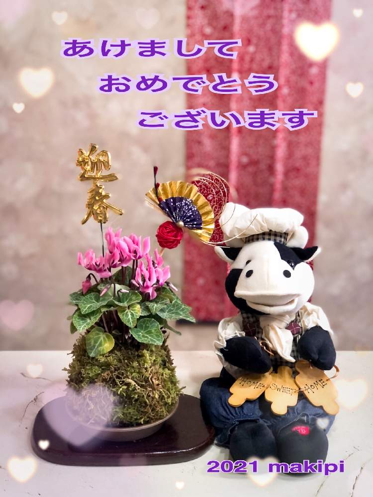 玄関の画像 by makipiさん | 玄関とガーデンシクラメン♡と手ぬぐいタペストリーとバラと夢CLUBとガーデンシクラメン ピンクとお正月♡とぬいぐるみとコラボと牛のコックさん人形と元旦