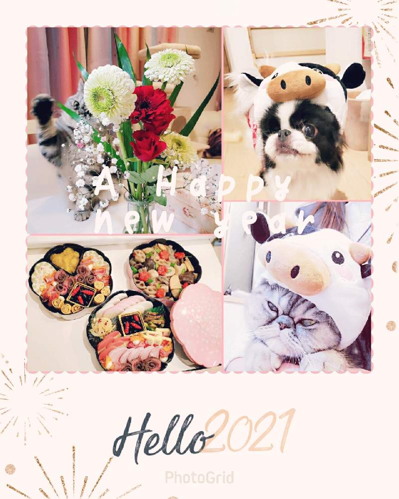 の画像 by miri☆*.+゚さん | いつもありがとう♡と今年も宜しくお願いします