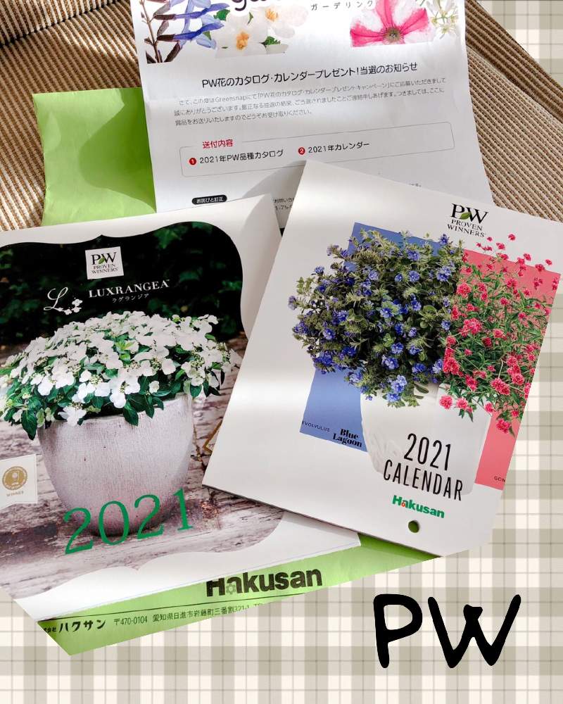 部屋の画像 by rosa sさん | 部屋と花のある暮らしと北海道とPWとPW花のカタログ・カレンダープレゼントキャンペーン