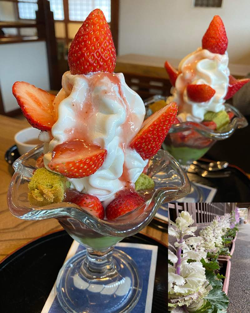 お出かけ先の画像 by ネイビーさん | お出かけ先と新型コロナウィルスの終息を願いますと新型コロナウィルスに負けるなとげんきもらえますと可愛いね❗と癒しのひと時