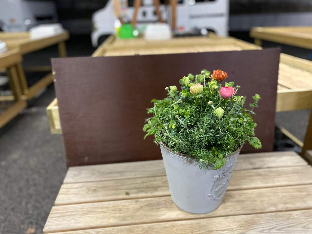 棚の画像 by ゆいの杜ガーデンセンターさん | 棚と寄せ植えと花のある暮らしとゆいの杜ガーデンセンター