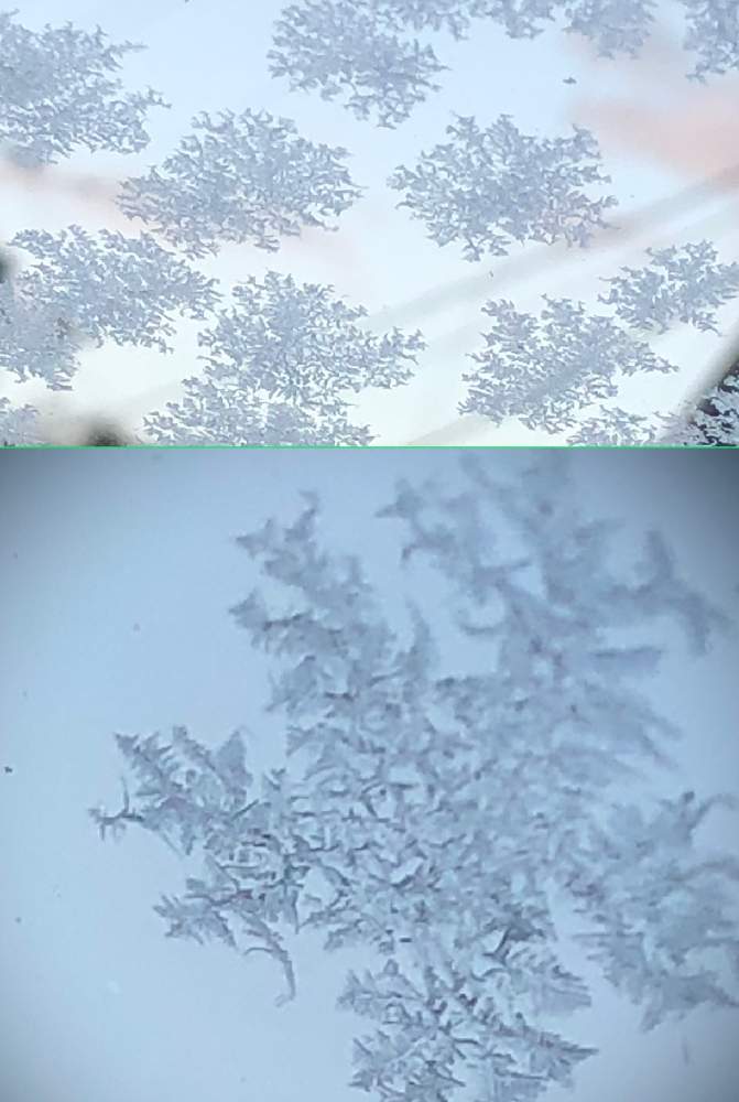 車庫の画像 by まちゃまつさん | 車庫と雪の朝と雪の結晶と今年一番の寒波と凍ると自然の芸術品